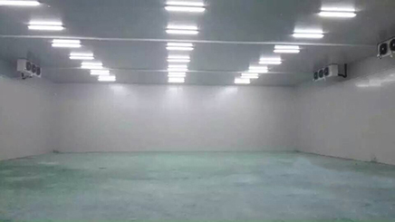 天天果園上海冷庫(kù)二期工程