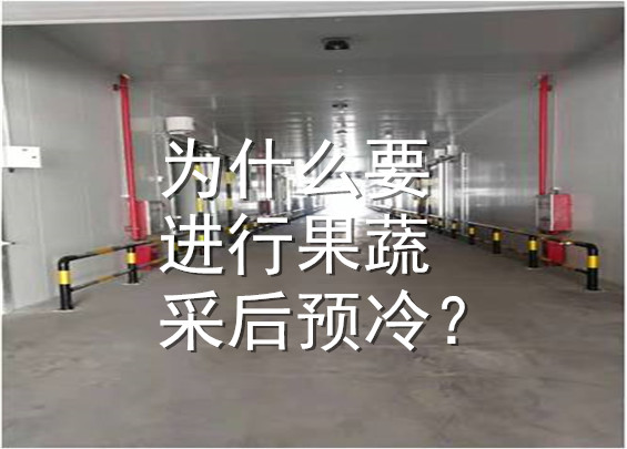 為什么要進行果蔬采后預冷？.jpg