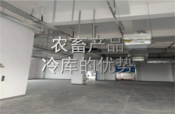 農畜產品冷庫的優(yōu)勢.jpg